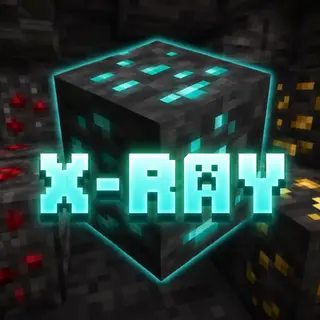 Voix Xray