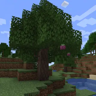 DynamicTrees-UpgradeAquatic Continue