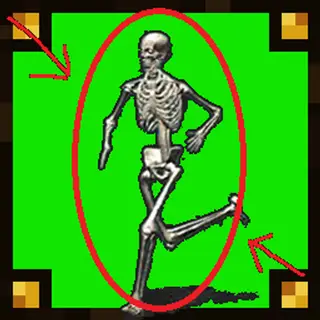 One in 2000 Skeleton
