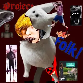 Project folk