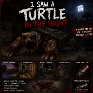 I Saw A Turtle In The Night