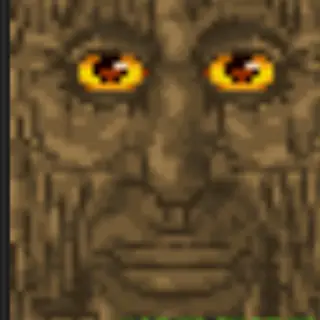 Old mystical tree friend