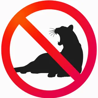 Better Than Ocelots [a WORKING Modern Better Than Wolves Port & Additons!]