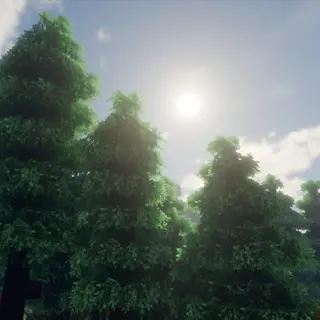 Ultra Realist Craft