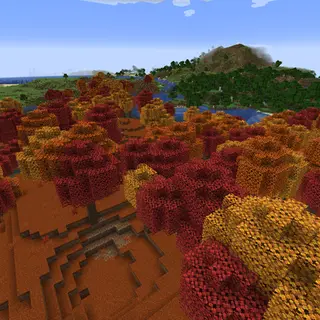 The Dappled Forest Drop