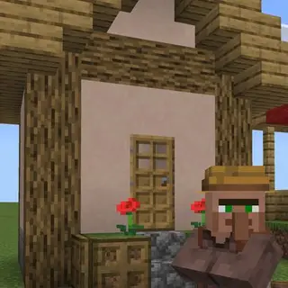 new village structure