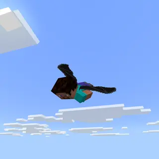 Dragon Elytra