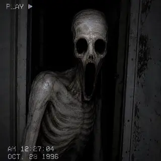 The Anomaly Stalker