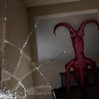 PNG Stalkers