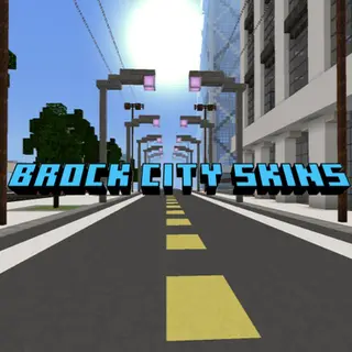 Block City Skins