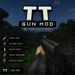 TT gun