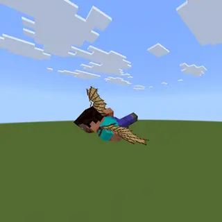 Da Vinci's Elytra