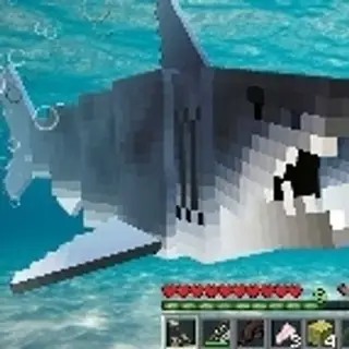 whale  giant! 