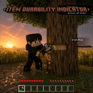 Item Durability Indicator