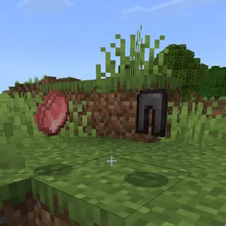 MINECRAFT BUT EVERY MOB DROPS SOMETHING RANDOM
