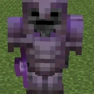 OP Wither Skeleton with Enchanted Armor and powerful weapon