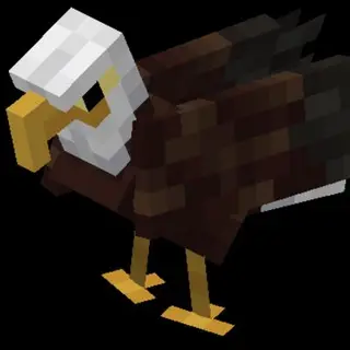 Animals4 