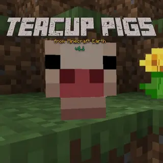 Teacup Pig || Minecraft Earth