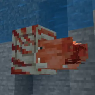 Nautilus Concept