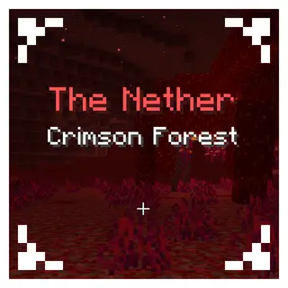 Explorer's Title