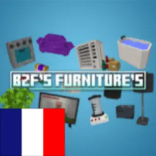 BZF'S Furniture Patch FR
