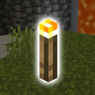Torch+