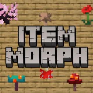 Item Morph Addon
