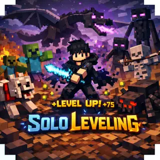 SOLO LEVELING (knight)