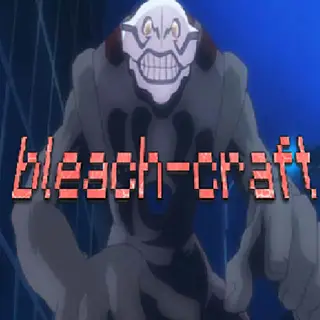 bleach-craft