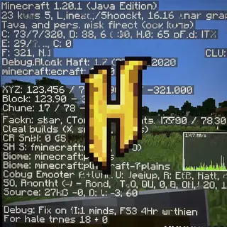 RR Debug Screen Ultimate: Java F3 HUD