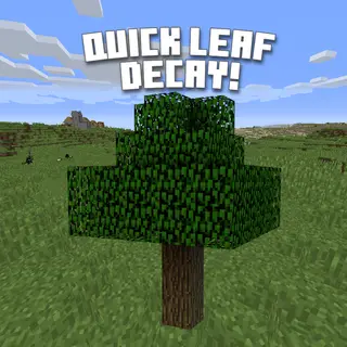 Quick Leaf Decay