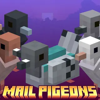 Mail Pigeons