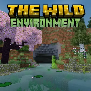 The Wild Environment
