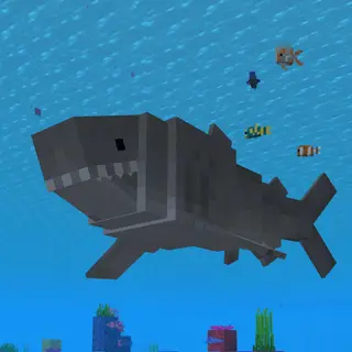 Moar Sharks