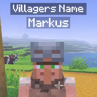 Villagers Name