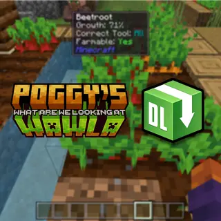Poggys Whats That Tooltip Add-On