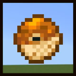 Meatz V5