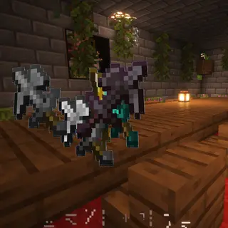 Multi-tools 1.20.8X