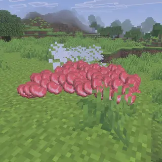 Entity Random Multiplier Loot (Achievement Friendl)
