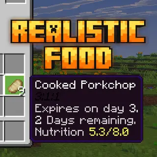Realistic Food
