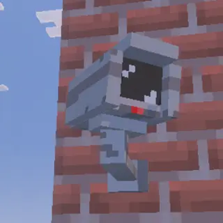 Cameras_MCBR