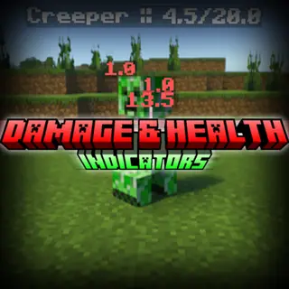 Damage & Health Indicators Addon