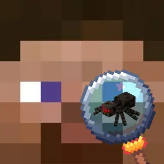Shrink My Spiders