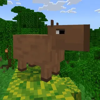 Bedrock Capybaras