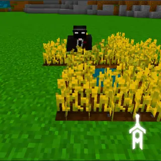 AgroTwerk