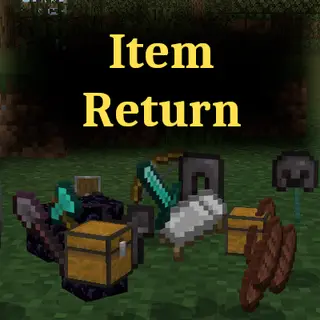 Item Return