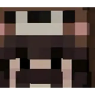 BigotiniPack