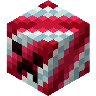 Holiday Season
