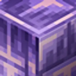 Assembly (Discontinued)