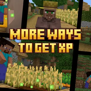 More Ways to Get XP
